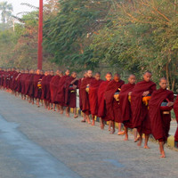 Lots of Monks