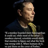 Hairless monkey