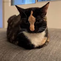 Right back at you