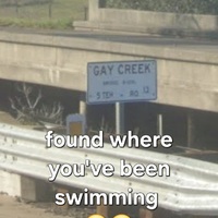 Pulses swimming hole