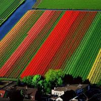 Coloured fields