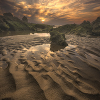Tidal Path by Idan Livni