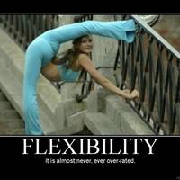 Flexibility