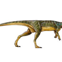 New Dinosaur Found in Chile