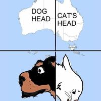 They're eating Australia