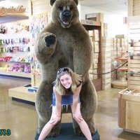 pedo bear says hi