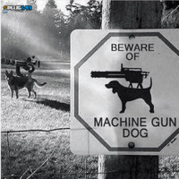beware of machine gun dog