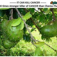 10000 times stronger killer of CANCER than Chemo