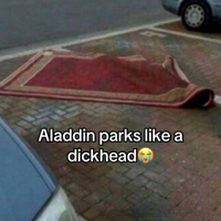 Probably parks in disabled spaces too