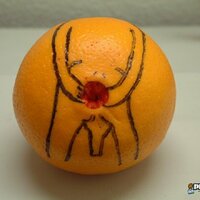 Orange 🍊