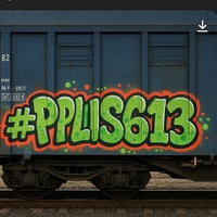 #PPLIS613 or something 