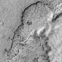 Elephant found on Mars