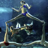 Russian synchronised swimmers