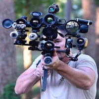 needs more sights