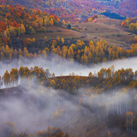 Autumn in Full Bloom by Brighilă Alex
