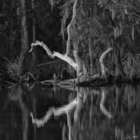 Cloudy evening on the creek by Ed Sanford