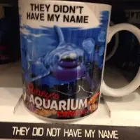 No Bort cup?