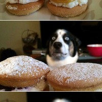 willpower!