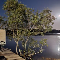 cold moon