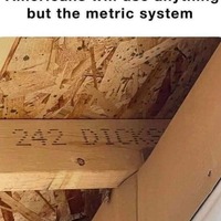 Are American dicks bigger or are there just more of them?