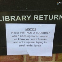 What happens when the squirrels learn?