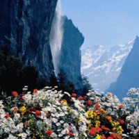SPRING FLOWERS MOUNTAIN SCENE