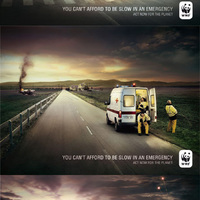WWF ADS
