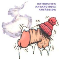 Antarctic cock