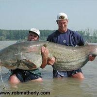 big ass fish