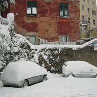 Snow in Genova, March 2005, red and white