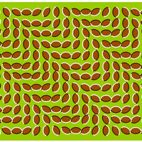 Nothing is actually moving- Just Ur eyes