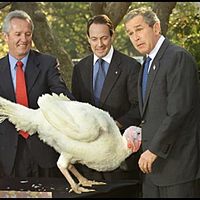 Why did we Elect Him?