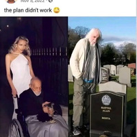 failed successfully 
