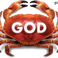 God I love crab!