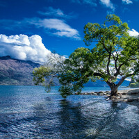 New Zealand - Lake Wakatipu, Queenstown