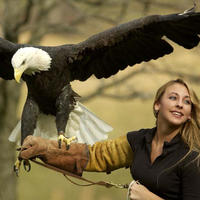 Eagle Handler
