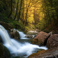 "Into the Colors of Autumn " by Michael Bottari