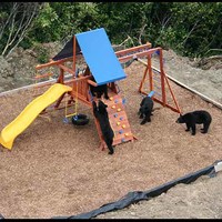 Back yard playground