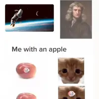 Apples