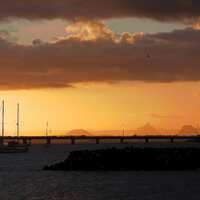 glittering gold