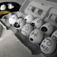my funny picture collection eggs