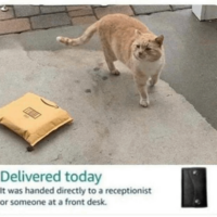 Staff stealing deliveries
