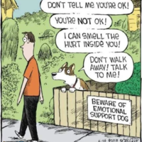 beware of emotional support dog