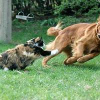 ROLE REVERSAL