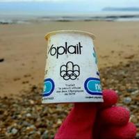 yoghurt cup thrown into the sea in 1976; hasn't degraded at all