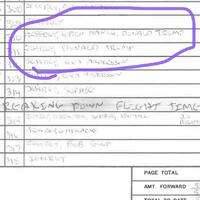 Trump confirmed in Epstein's flight logs