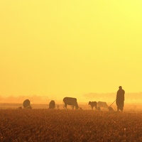 A Beautiful Winter Morning by Fuad Sakar
