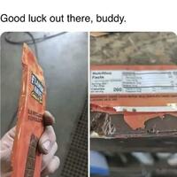 Rat going to have a bad day..