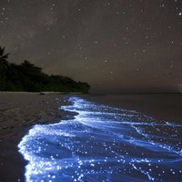 Sea of Stars, Vaadhoo Island, Maldives
