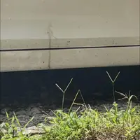 Yay.  
